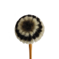 Preview: Staubwedel "Zebra" von vorne.